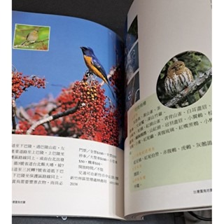 自然    台灣賞鳥地圖-細節圖4