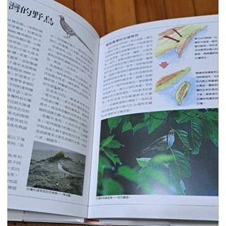 自然  台灣賞鳥地圖    大樹文化事業-細節圖3