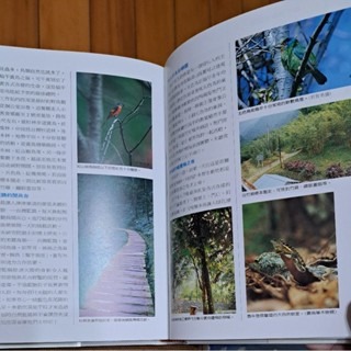 自然  台灣賞鳥地圖    大樹文化事業-細節圖4