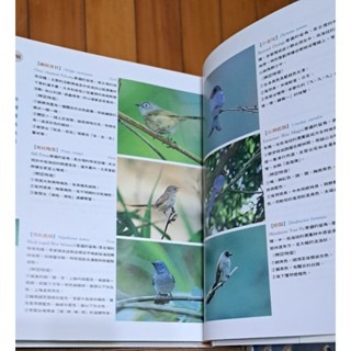 自然  台灣賞鳥地圖    大樹文化事業-細節圖6