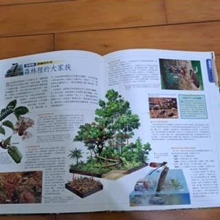 認識台灣 森林篇   林木森森綠家園-細節圖3