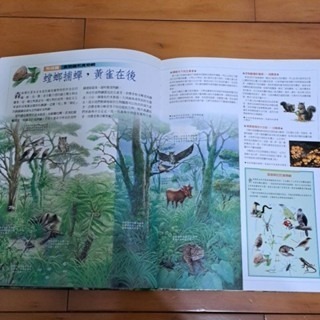 認識台灣 森林篇   林木森森綠家園-細節圖4