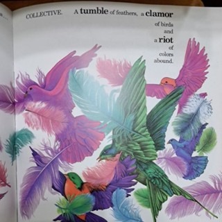 英文繪本  MERRY-GO-ROUND 音樂馬車-細節圖3