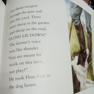 英文繪本  Floss-細節圖2