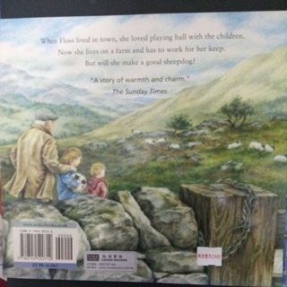 英文繪本  Floss-細節圖3