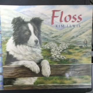 英文繪本  Floss-規格圖3