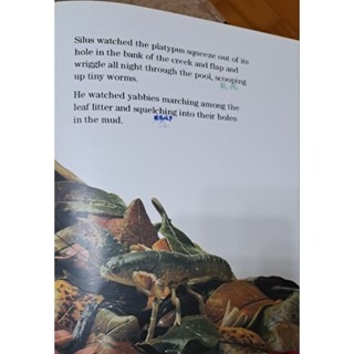 英文繪本  Green Air-細節圖2