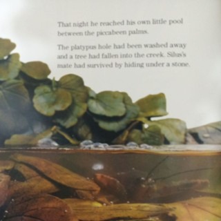 英文繪本  Green Air-細節圖3