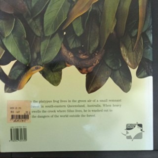 英文繪本  Green Air-細節圖4