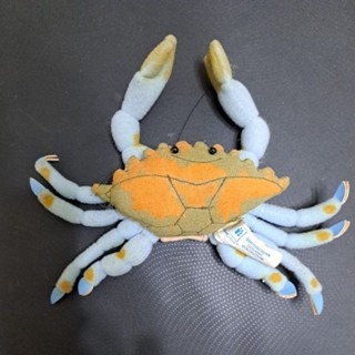 英文繪本 DANCING ON THE SAND (附螃蟹玩偶)-細節圖3