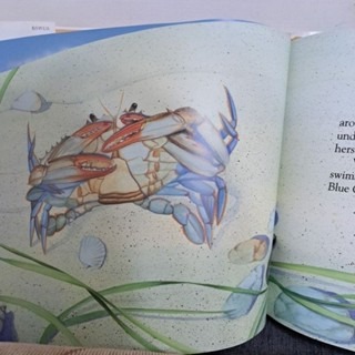 英文繪本 DANCING ON THE SAND (附螃蟹玩偶)-細節圖4