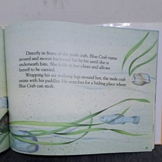 英文繪本 DANCING ON THE SAND (附螃蟹玩偶)-細節圖5