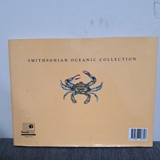 英文繪本 DANCING ON THE SAND (附螃蟹玩偶)-細節圖6