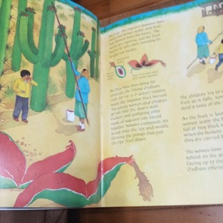 英文繪本 DESERT GIANT-細節圖3