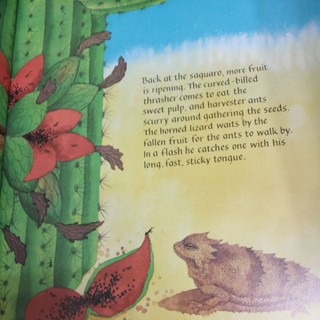 英文繪本 DESERT GIANT-細節圖4