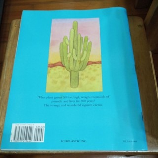 英文繪本 DESERT GIANT-細節圖5