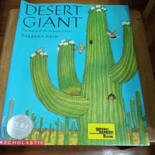 英文繪本 DESERT GIANT-規格圖5