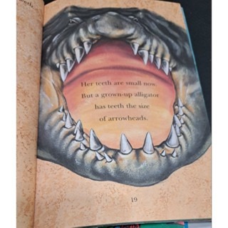 英文繪本   Baby Alligator-細節圖2