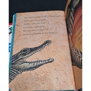 英文繪本   Baby Alligator-細節圖3