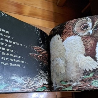 兒童繪本   小貓頭鷹 (中文版)-細節圖2