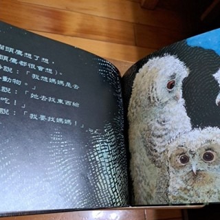 兒童繪本   小貓頭鷹 (中文版)-細節圖3