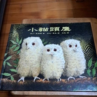 兒童繪本   小貓頭鷹 (中文版)-規格圖4