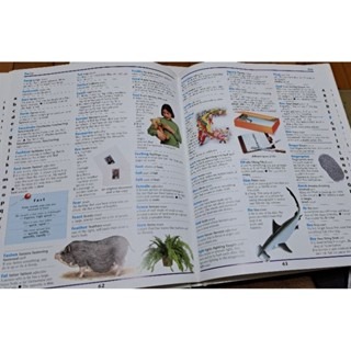 英英字典  THE GROLIER CHILDREN＇S DICTIONARY 1＆ 2-細節圖4