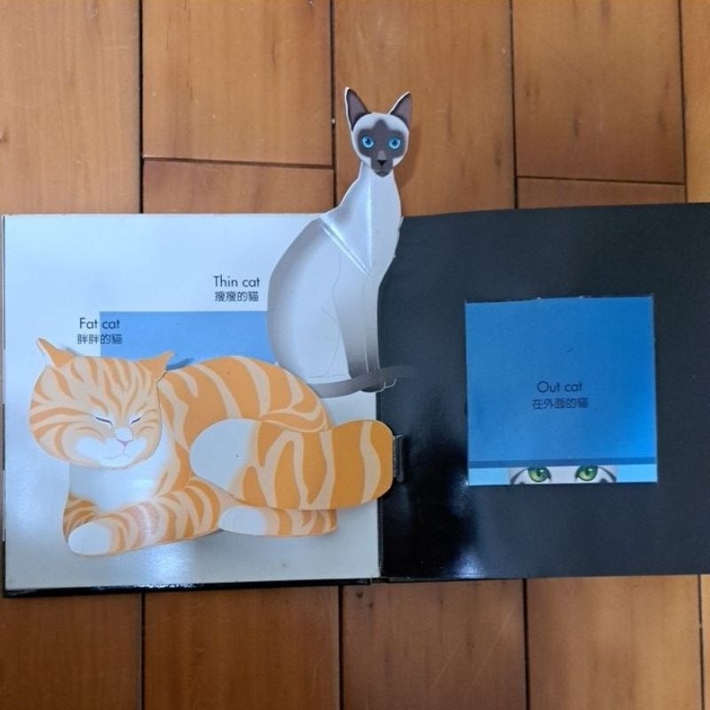英語 立體書 驚奇立體遊戲書  黑貓白猫 BLACK CAT WHITE CAT-細節圖2