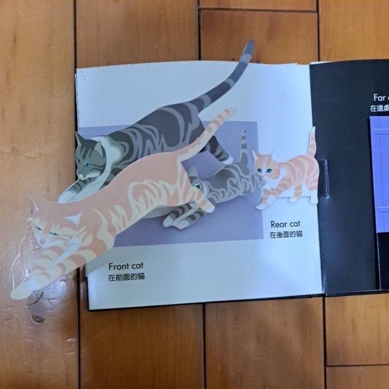 英語 立體書 驚奇立體遊戲書  黑貓白猫 BLACK CAT WHITE CAT-細節圖4