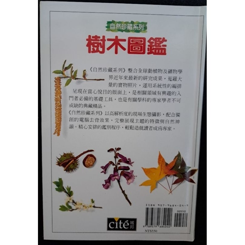 自然    樹木圖鑑  貓頭鷹出版社-細節圖3