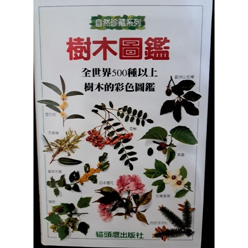自然    樹木圖鑑  貓頭鷹出版社-規格圖3