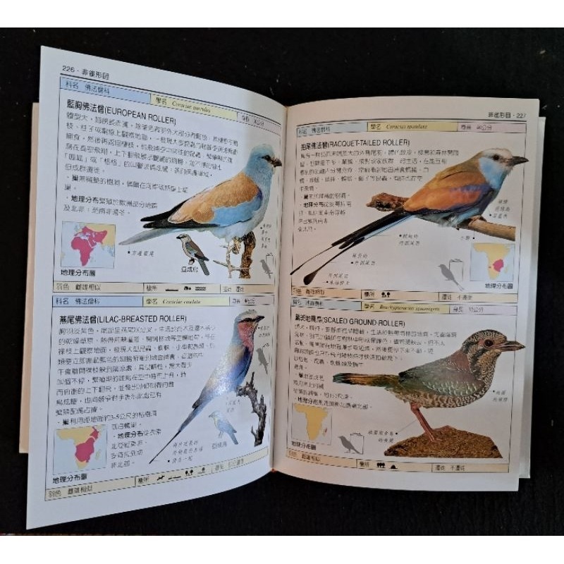 自然    鳥類圖鑑  貓頭鷹出版社-細節圖2