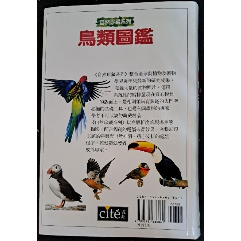 自然    鳥類圖鑑  貓頭鷹出版社-細節圖3