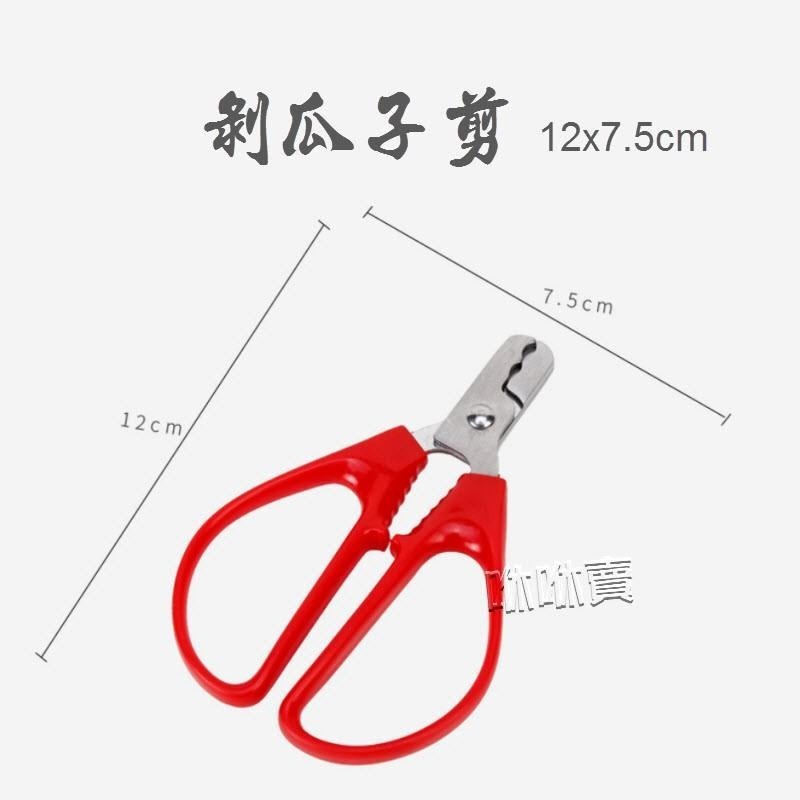 人性化剝瓜子剪 不銹鋼剝瓜子器 剝瓜子神器 不銹鋼瓜子鉗剝殼器 剝瓜子鉗 葵瓜子/葵花籽/花/ 堅果工具-細節圖2