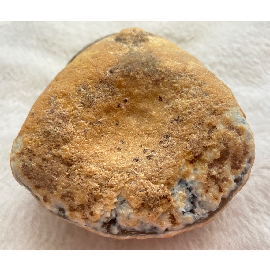 聚寶盆 金皮原礦 招財納福 糖霜共生礦-細節圖9