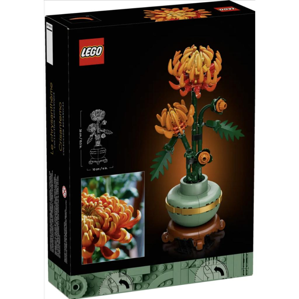 LEGO 樂高10368 菊花【樂高玩家】 Icons系列-細節圖5