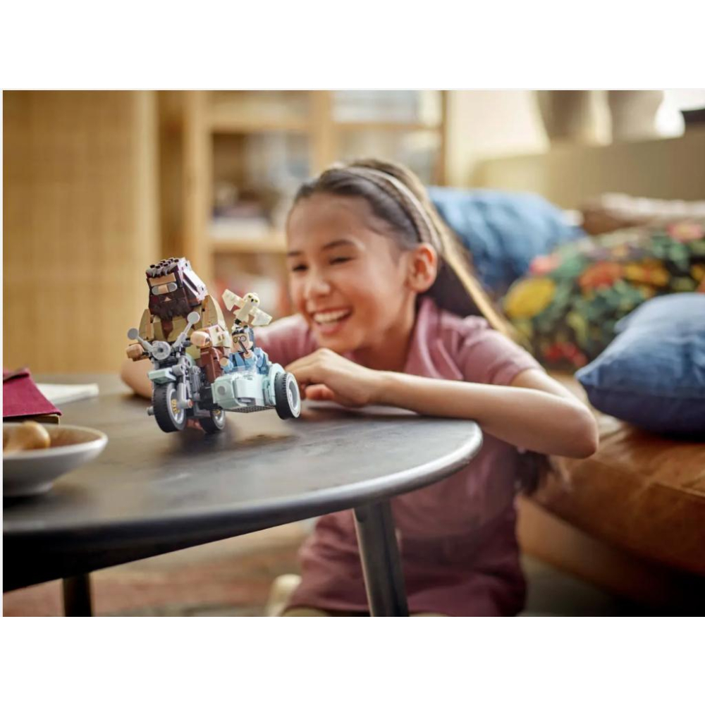 LEGO 76443 海格和哈利波特的摩托車之旅【樂高玩家】Harry Potter系列-細節圖6