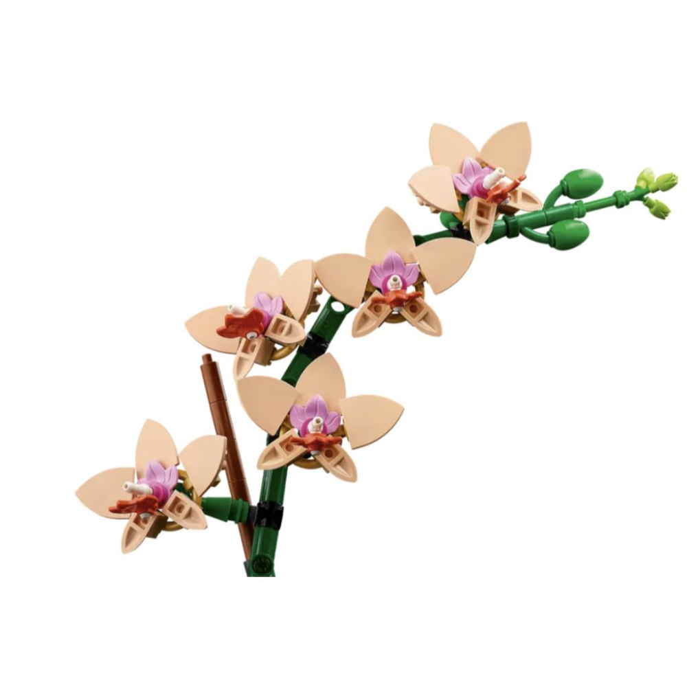 LEGO 樂高 10343 迷你蘭花【樂高玩家】花藝系列-細節圖4