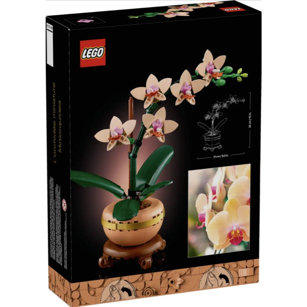 LEGO 樂高 10343 迷你蘭花【樂高玩家】花藝系列-細節圖9