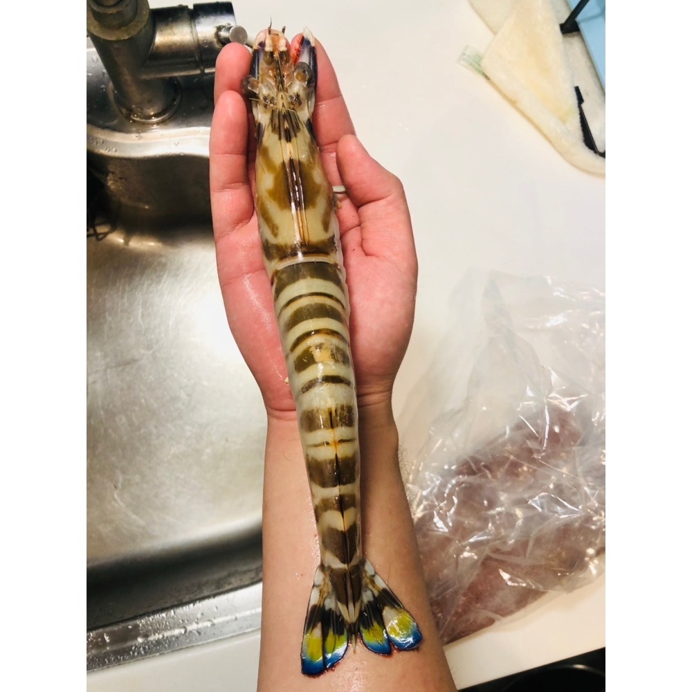 🎯澎湖極品1號最大明蝦-大蝦6隻入.霸主級尺寸-細節圖2
