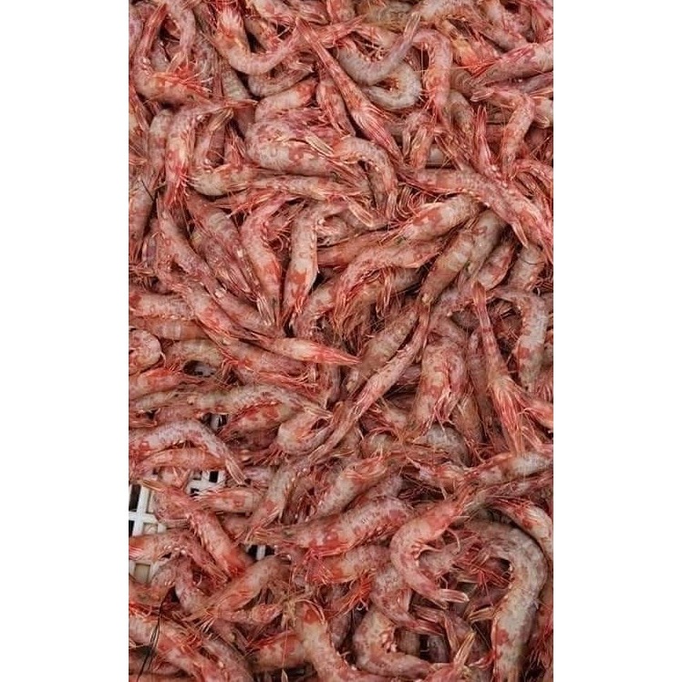 🦐 澎湖狗蝦•新鮮剝殼挑沙筋•超值10包1500元-細節圖3