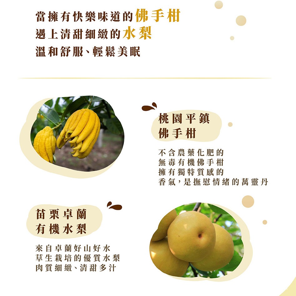 【菓茶很有事】漢方果乾茶-佛手紅棗枸杞茶（10入/盒）-細節圖3