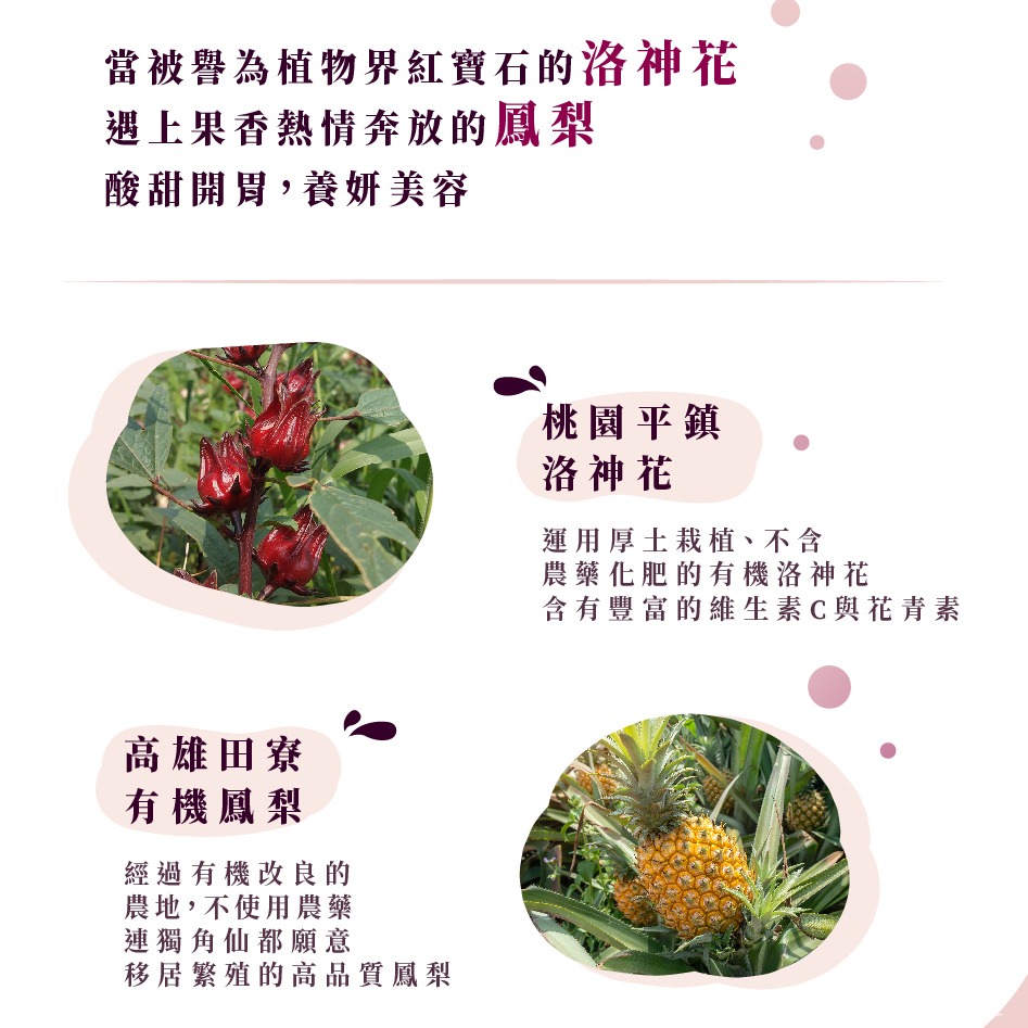 【菓茶很有事】漢方果乾茶-鳳梨洛神薄荷茶（10入/盒）-細節圖3