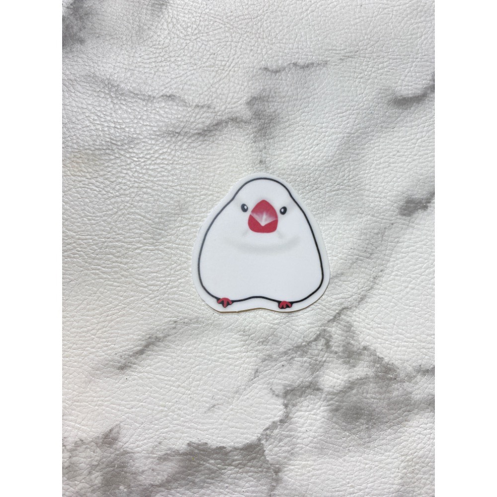 飛到對面屋頂的白文鳥