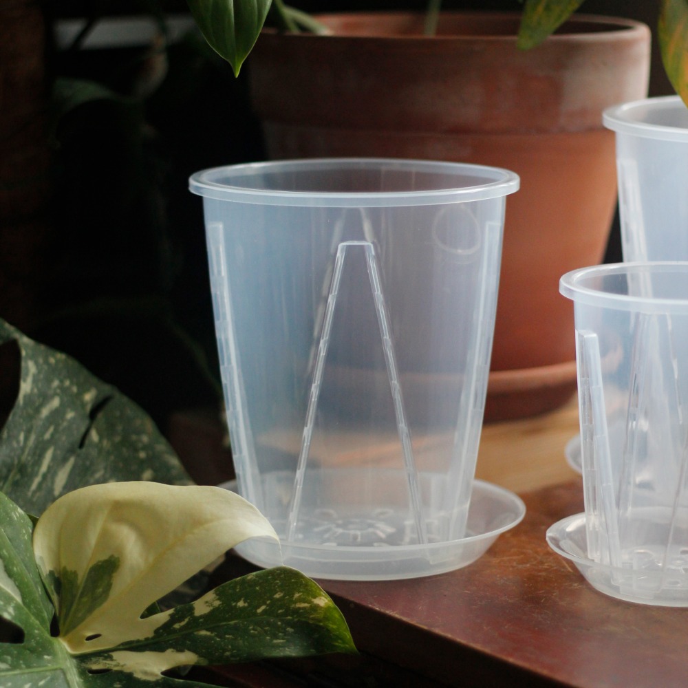 【0123.studio】現貨 透明控根青山盆 青山盆 亮面透明 觀葉植物 盆器 花盆 透氣 種植 園藝-細節圖2