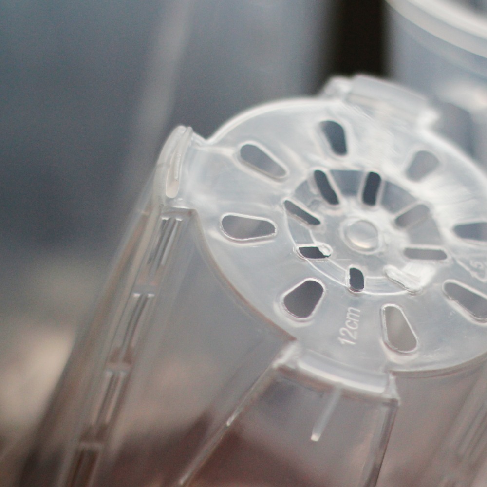 【0123.studio】現貨 透明控根青山盆 青山盆 亮面透明 觀葉植物 盆器 花盆 透氣 種植 園藝-細節圖3