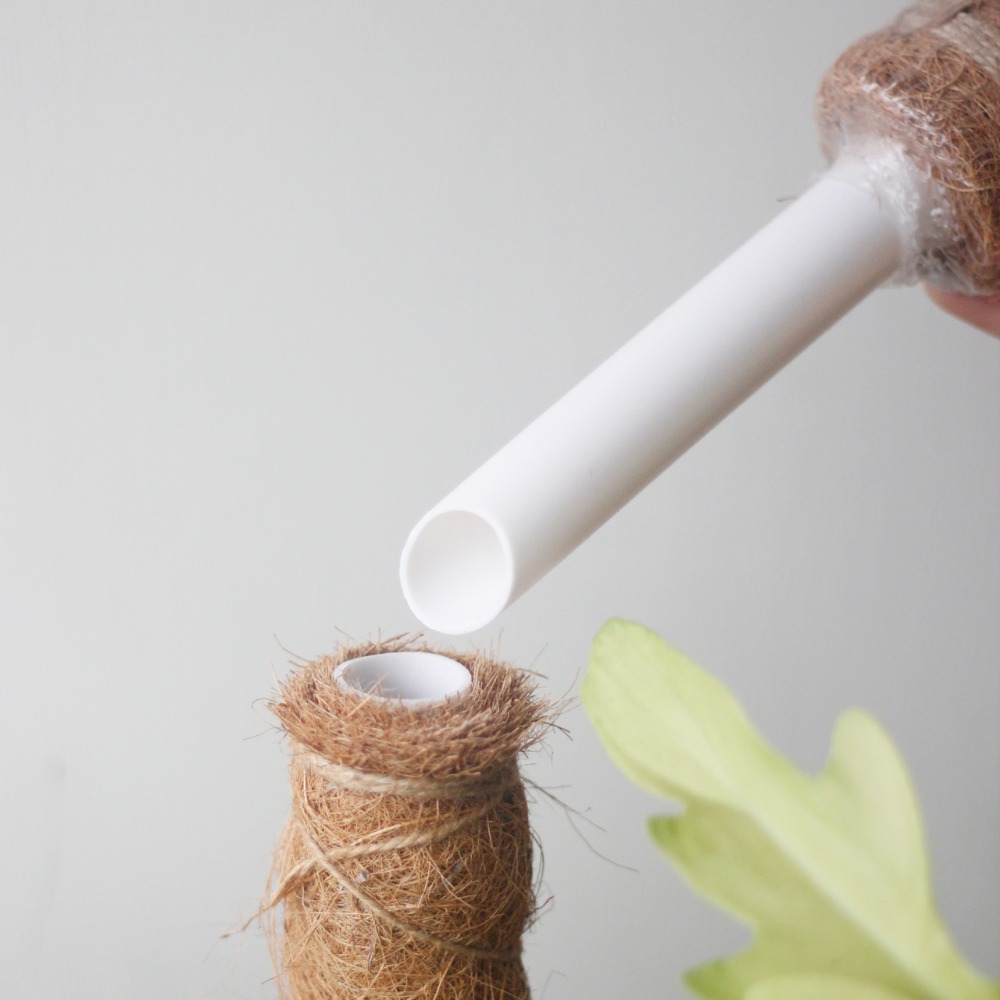 【0123.studio】現貨 40CM 椰纖棒 椰纖柱 塑膠中柱款 防霉 可串接 龜背芋 支撐架 爬藤植物 觀葉 攀爬-細節圖3