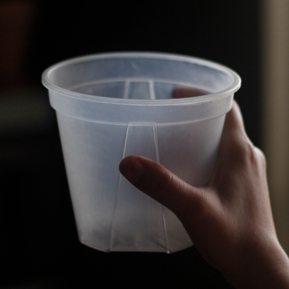 【0123.studio】現貨 透明控根青山盆 青山盆 5/6/7/8/9吋 花盆 花器 盆栽 托盤 觀葉植物 控根盆-細節圖4