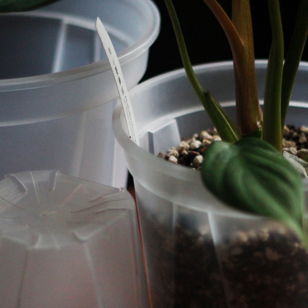 【0123.studio】現貨 透明控根青山盆 青山盆 5/6/7/8/9吋 花盆 花器 盆栽 托盤 觀葉植物 控根盆-細節圖5