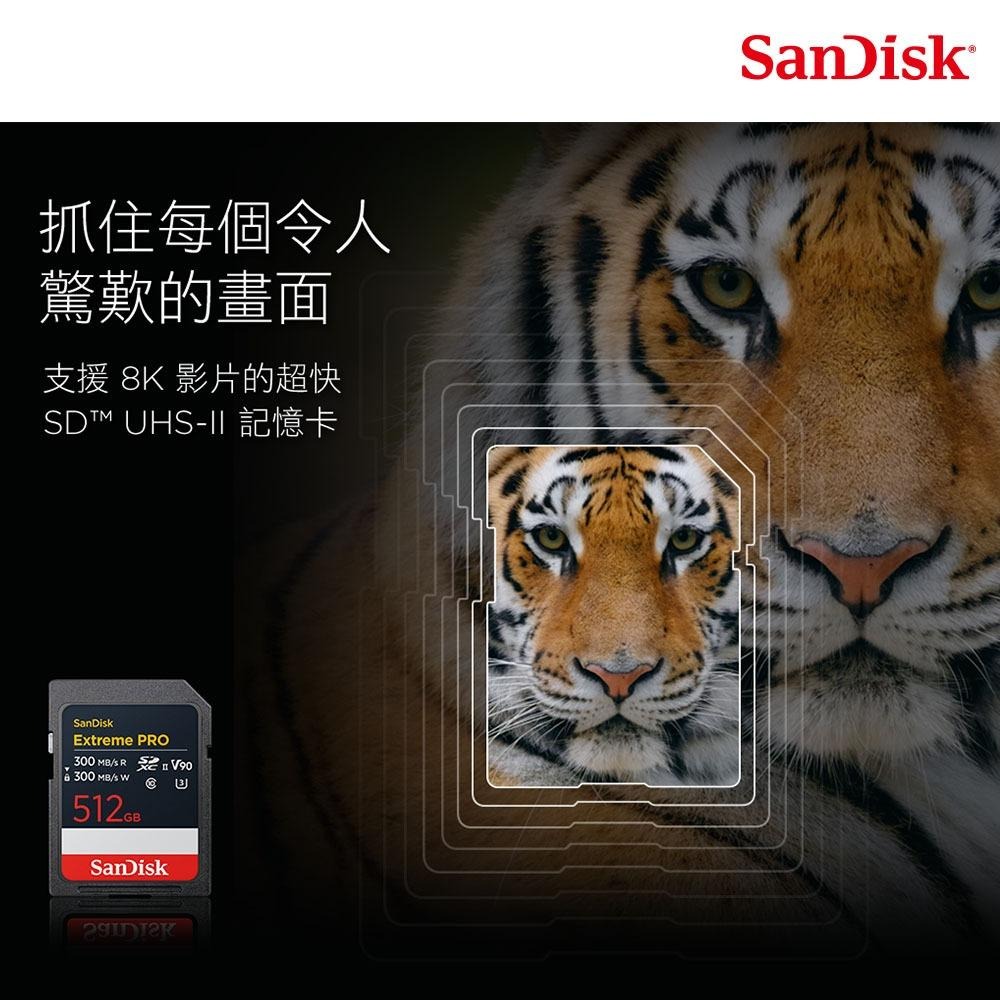 SanDisk Extreme PRO UHS-II 記憶卡 512GB (公司貨)-細節圖2